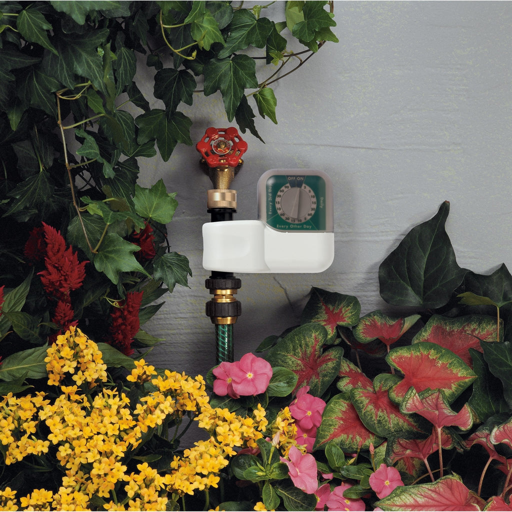 1-Outlet Automatic Single-Dial Hose Faucet Timer 62024 - Cheeky Garden