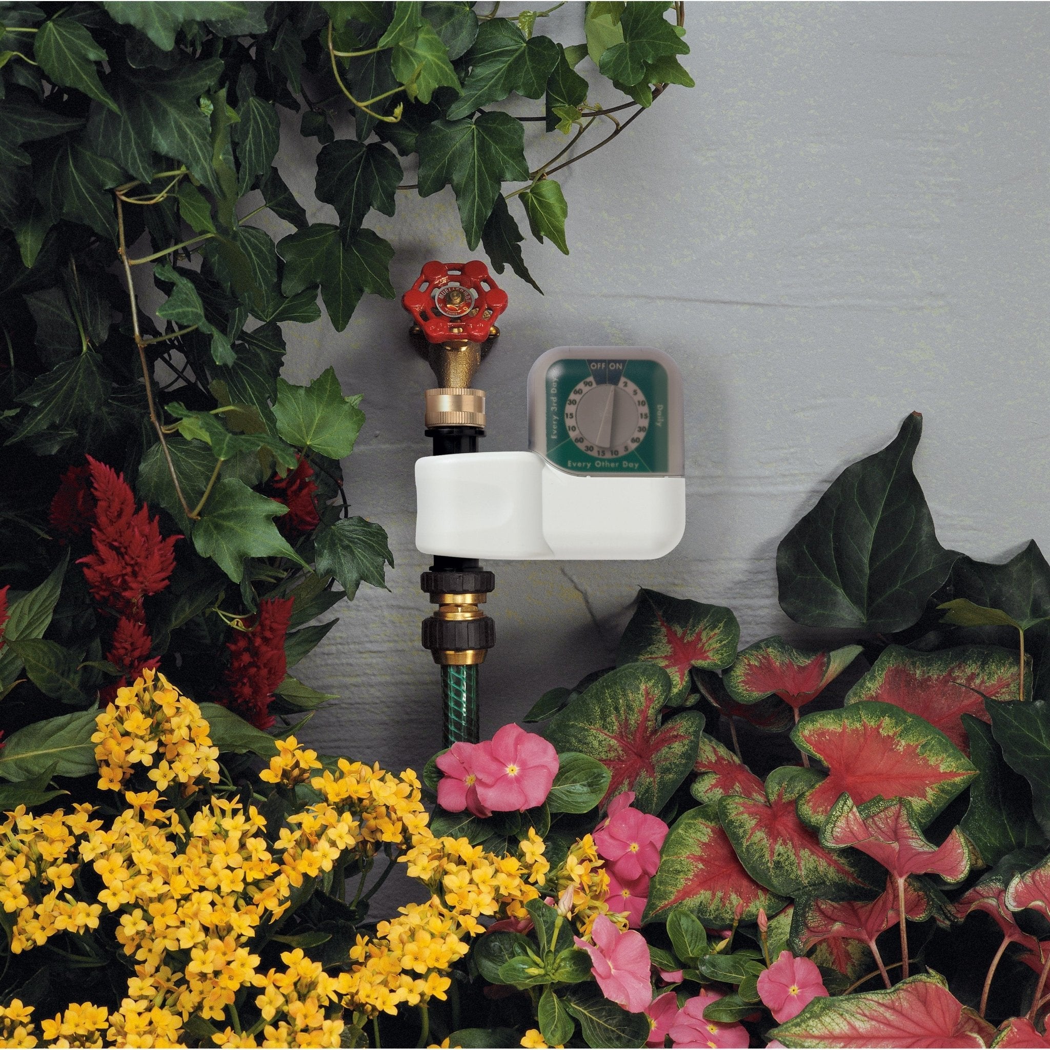 1-Outlet Automatic Single-Dial Hose Faucet Timer 62024 - Cheeky Garden