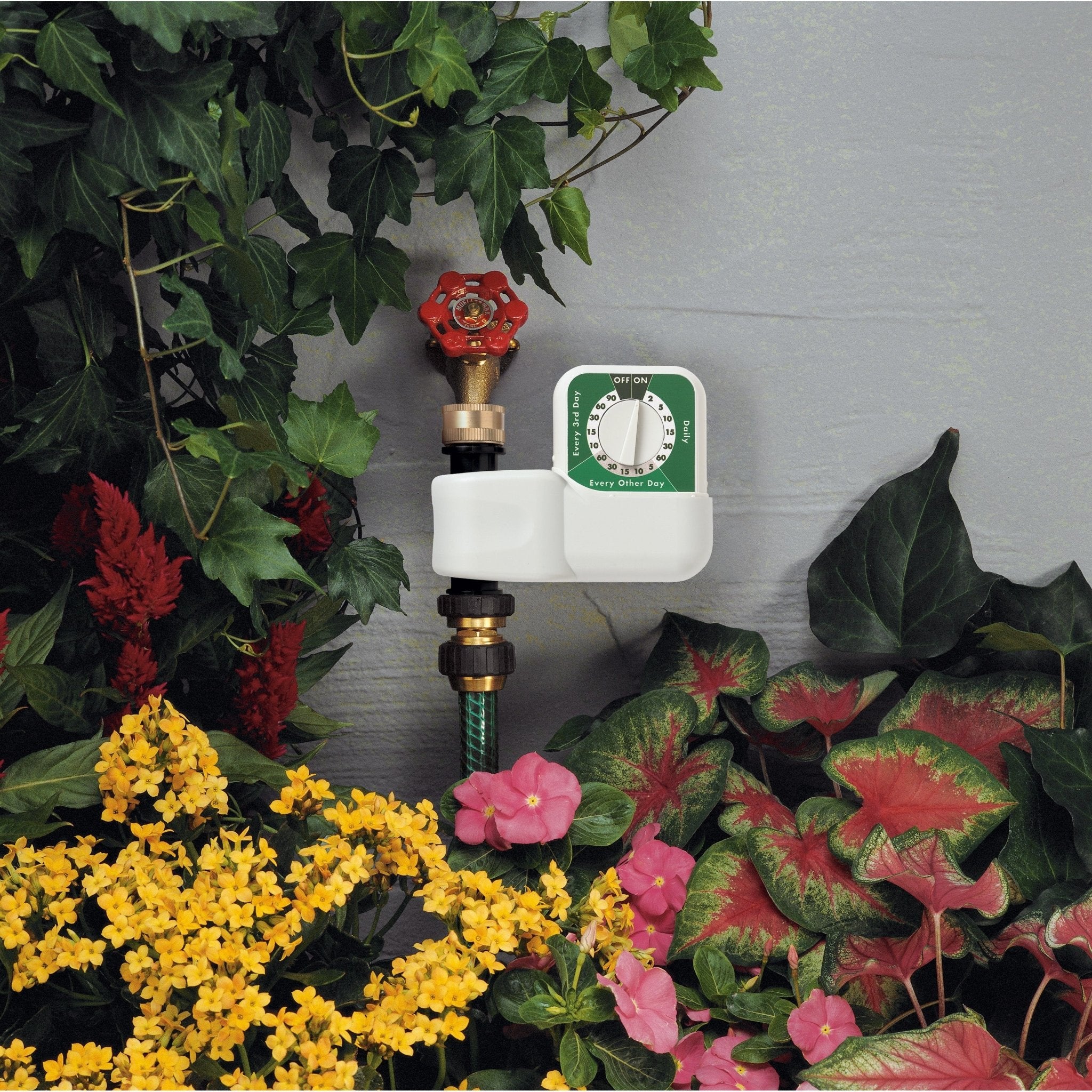 1-Outlet Automatic Single-Dial Hose Faucet Timer 62024 - Cheeky Garden