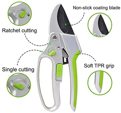 2-in-1 Garden Ratchet Pruning Shears Clippers - Cheeky Garden