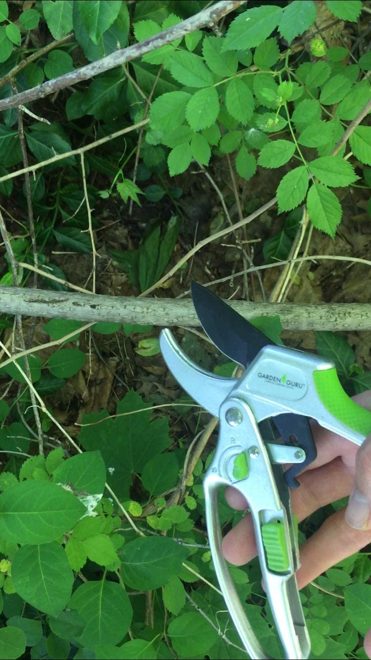2-in-1 Garden Ratchet Pruning Shears Clippers - Cheeky Garden