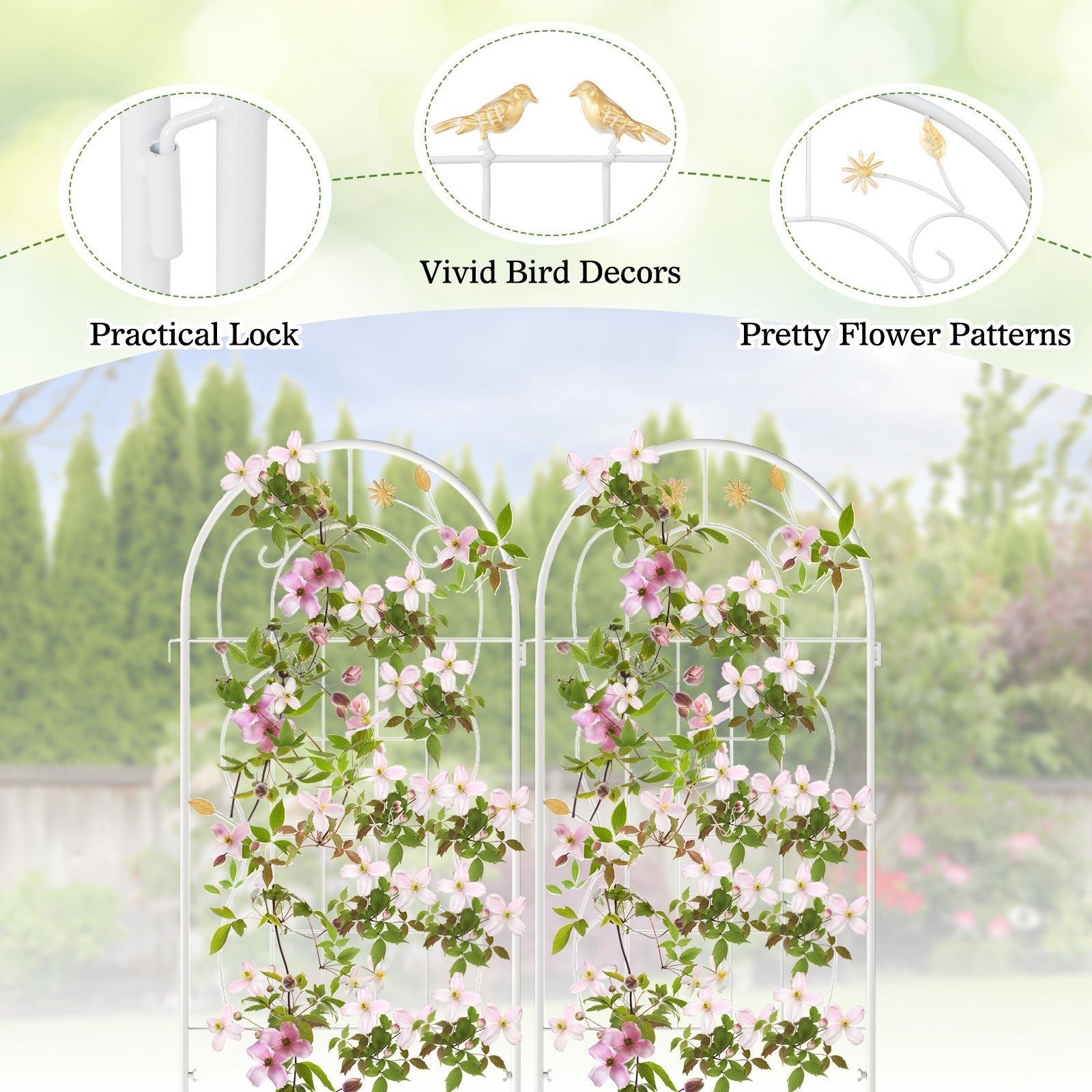 2 Pack 71 x 20 Inch Metal Garden Trellis Rustproof Plant Support for Climbing Plants - Cheeky Garden