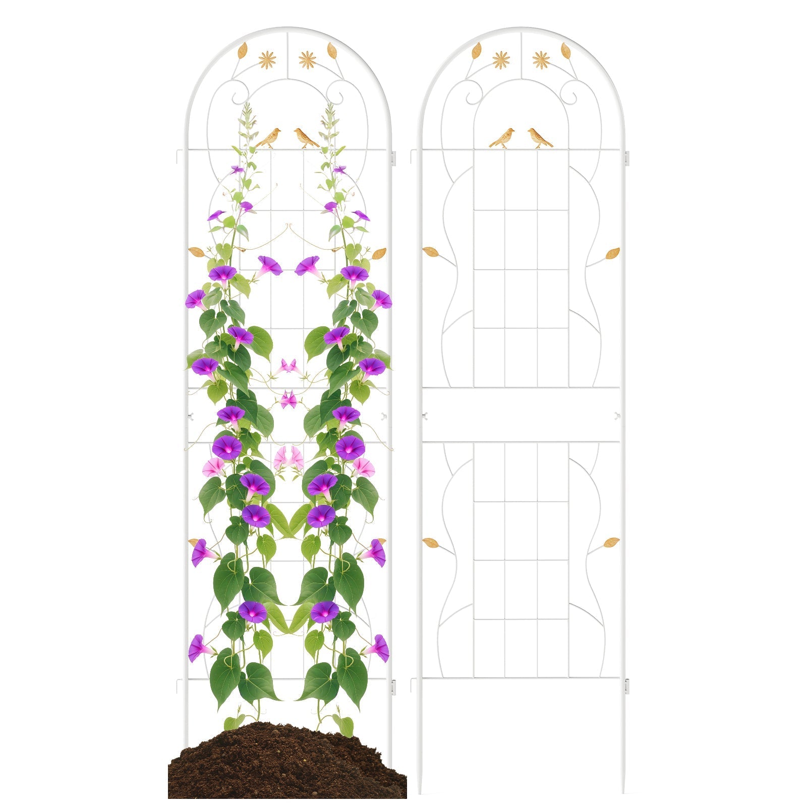 2 Pack 71 x 20 Inch Metal Garden Trellis Rustproof Plant Support for Climbing Plants - Cheeky Garden