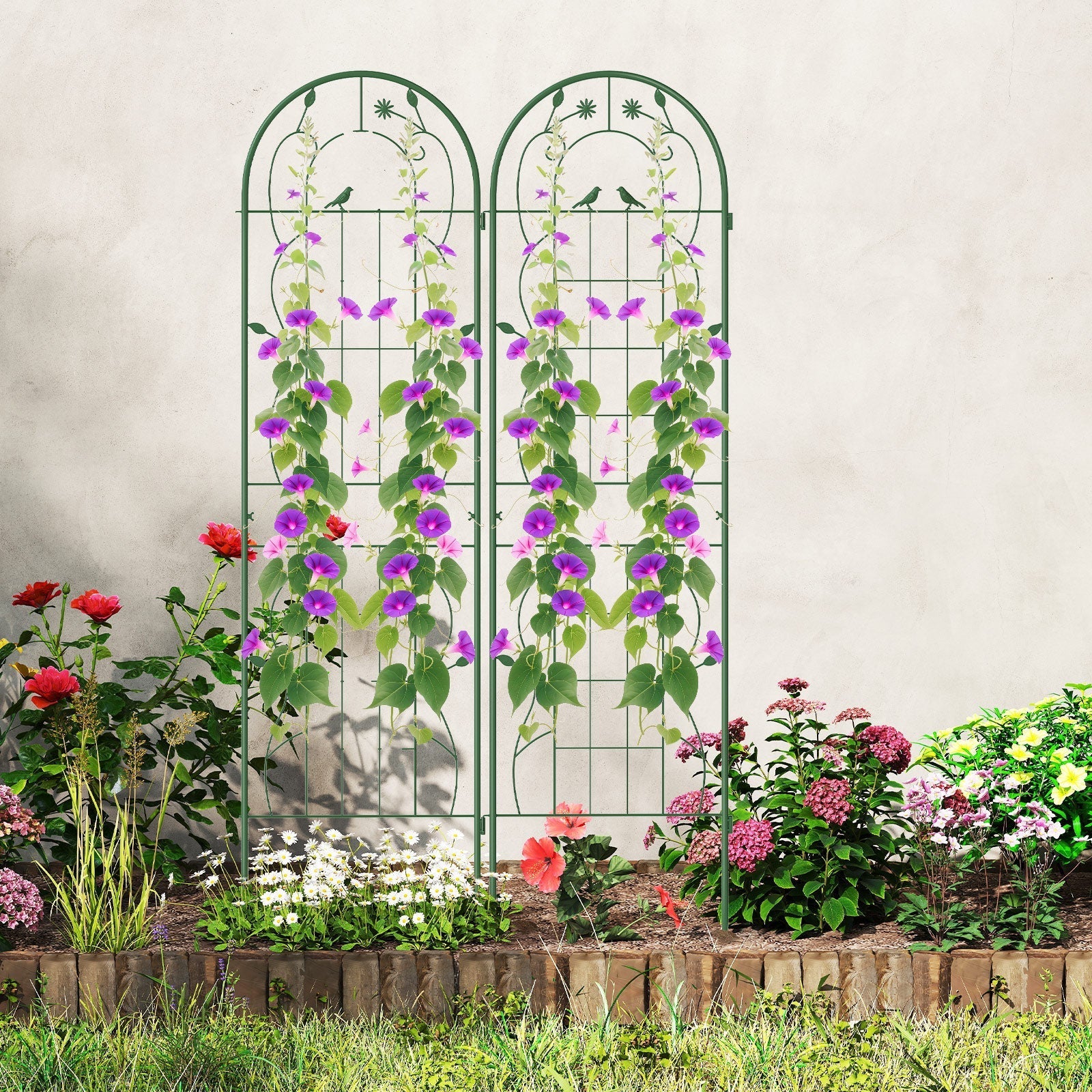 2 Pack 71 x 20 Inch Metal Garden Trellis Rustproof Plant Support for Climbing Plants - Cheeky Garden