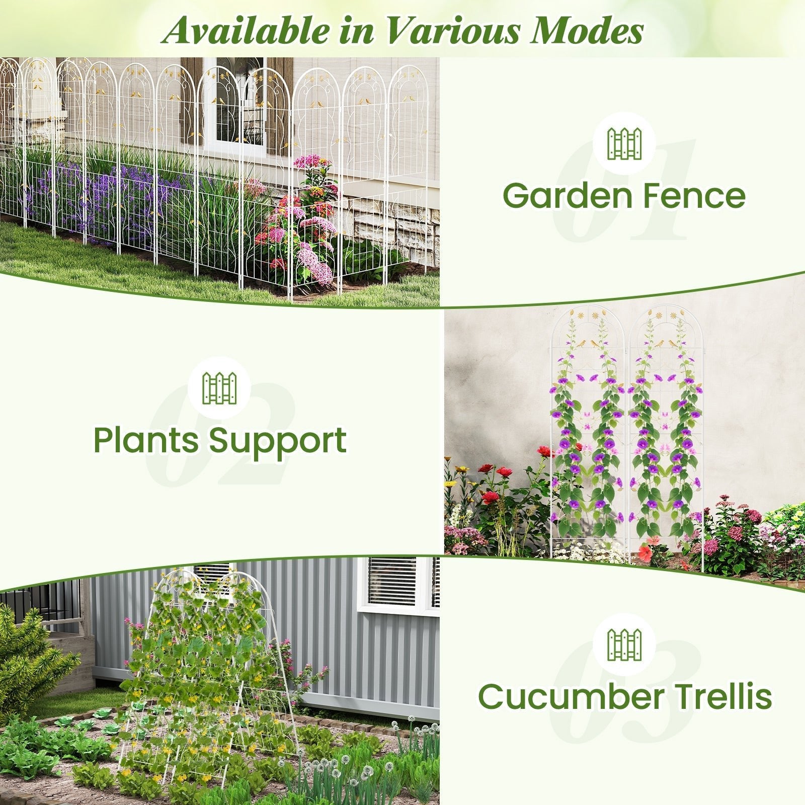2 Pack 71 x 20 Inch Metal Garden Trellis Rustproof Plant Support for Climbing Plants - Cheeky Garden