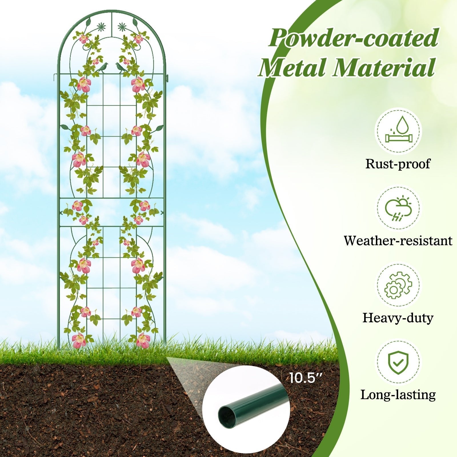 2 Pack 71 x 20 Inch Metal Garden Trellis Rustproof Plant Support for Climbing Plants - Cheeky Garden
