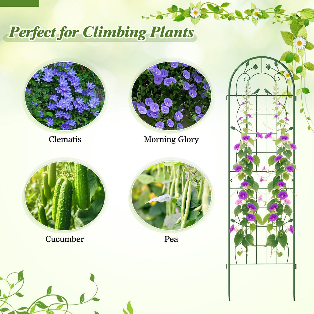 2 Pack 71 x 20 Inch Metal Garden Trellis Rustproof Plant Support for Climbing Plants - Cheeky Garden