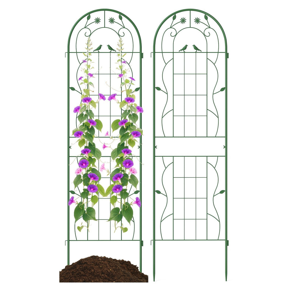 2 Pack 71 x 20 Inch Metal Garden Trellis Rustproof Plant Support for Climbing Plants - Cheeky Garden