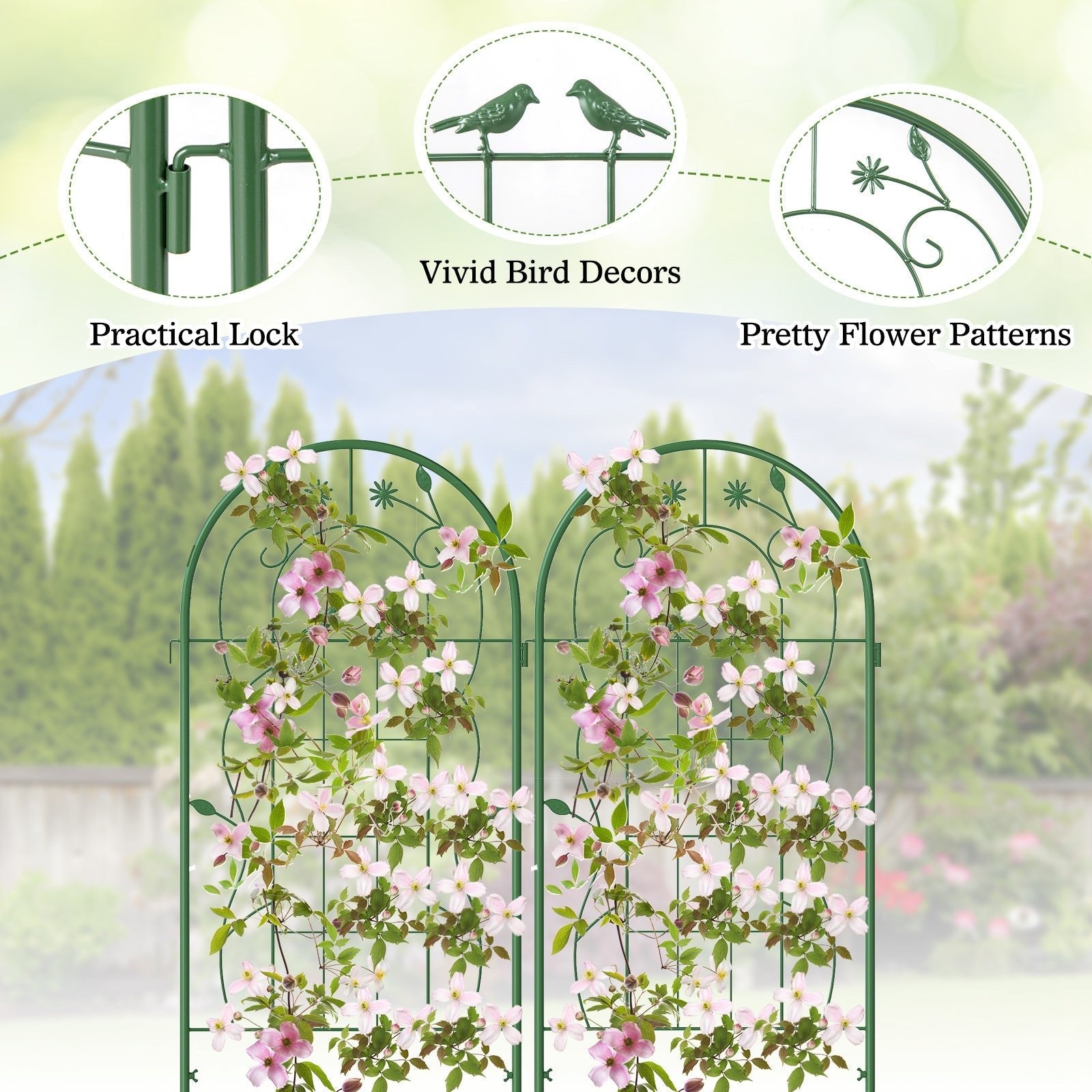 2 Pack 71 x 20 Inch Metal Garden Trellis Rustproof Plant Support for Climbing Plants - Cheeky Garden