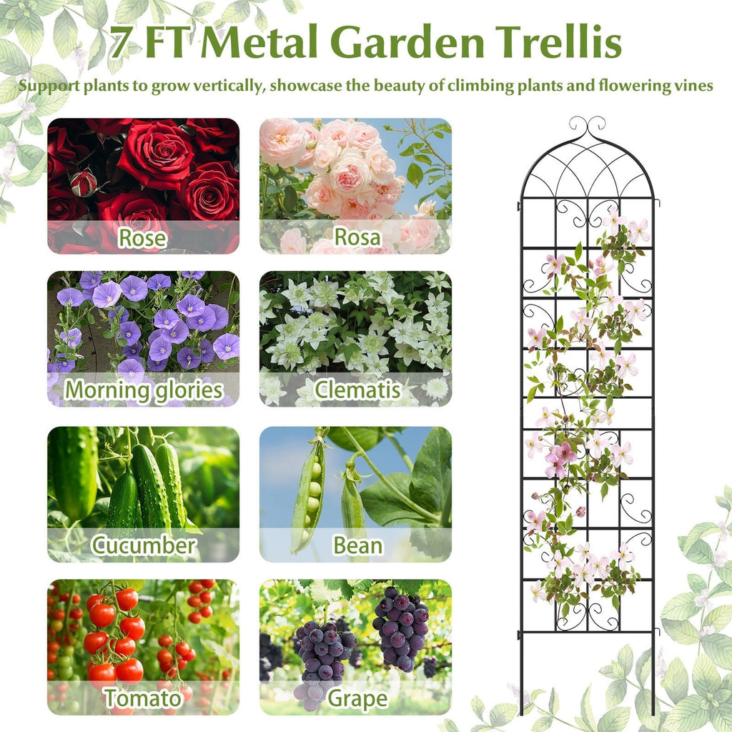 2 Pack 86" x 20" Metal Garden Trellis for Outdoor Climbing Plants - Cheeky Garden