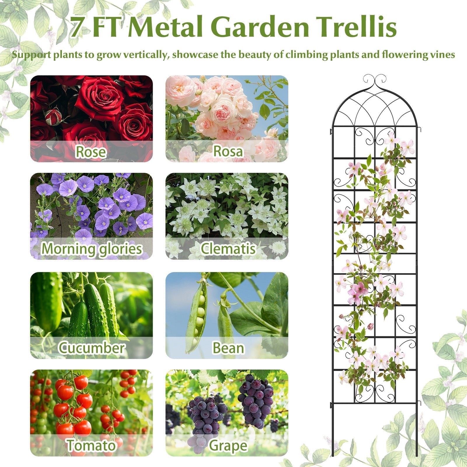 2 Pack 86" x 20" Metal Garden Trellis for Outdoor Climbing Plants - Cheeky Garden