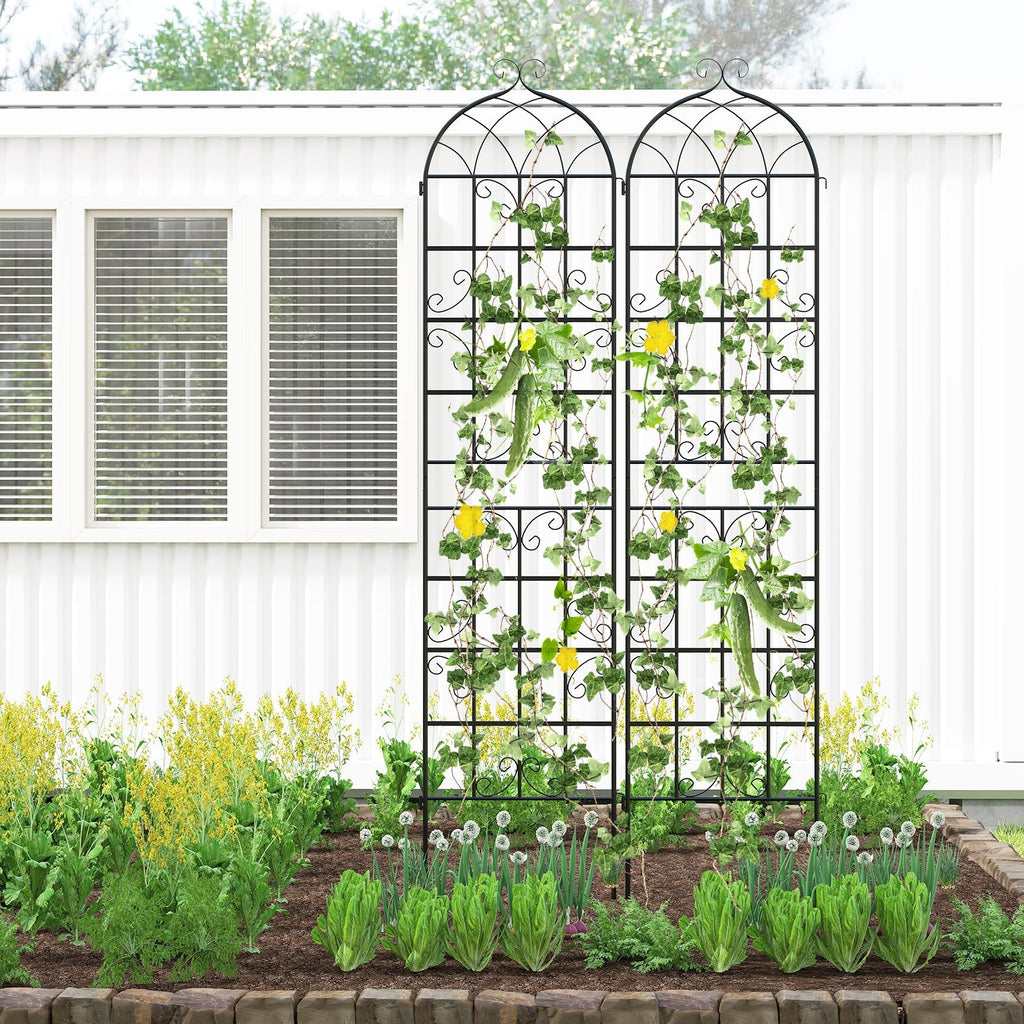 2 Pack 86" x 20" Metal Garden Trellis for Outdoor Climbing Plants - Cheeky Garden