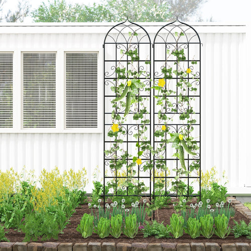 2 Pack 86" x 20" Metal Garden Trellis for Outdoor Climbing Plants - Cheeky Garden