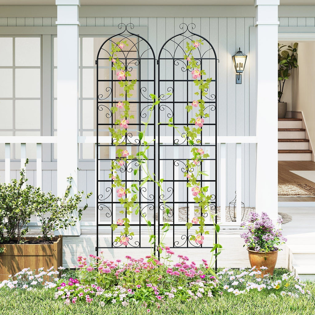 2 Pack 86" x 20" Metal Garden Trellis for Outdoor Climbing Plants - Cheeky Garden