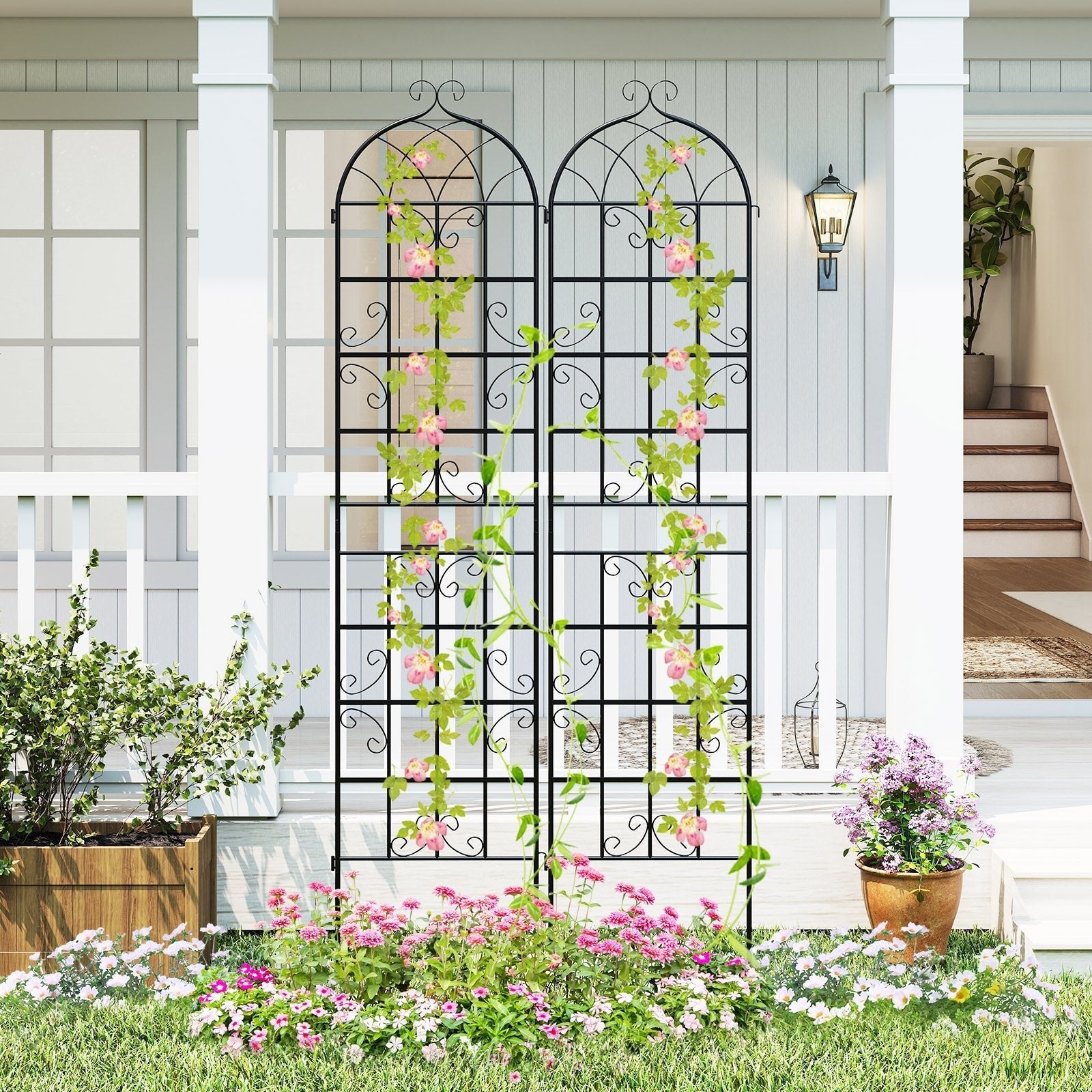 2 Pack 86" x 20" Metal Garden Trellis for Outdoor Climbing Plants - Cheeky Garden
