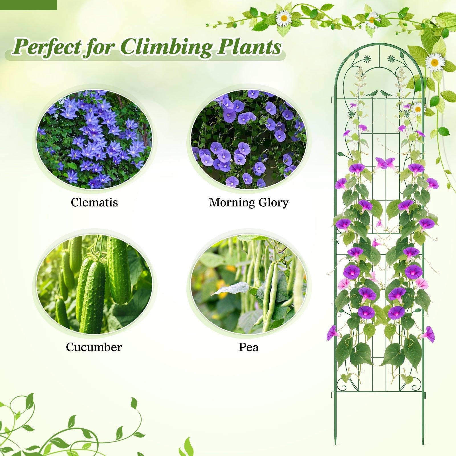 2 Pack 86.5 x 20 Inches Metal Garden Trellis for Climbing Plants - Cheeky Garden