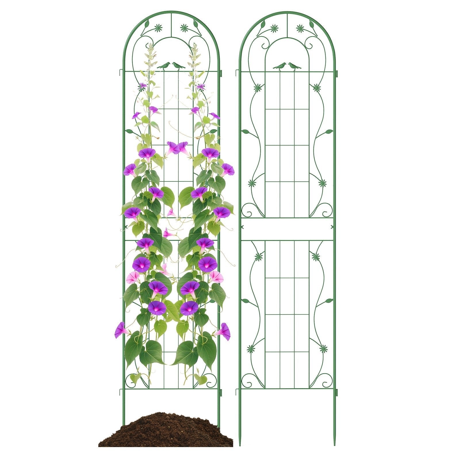 2 Pack 86.5 x 20 Inches Metal Garden Trellis for Climbing Plants - Cheeky Garden
