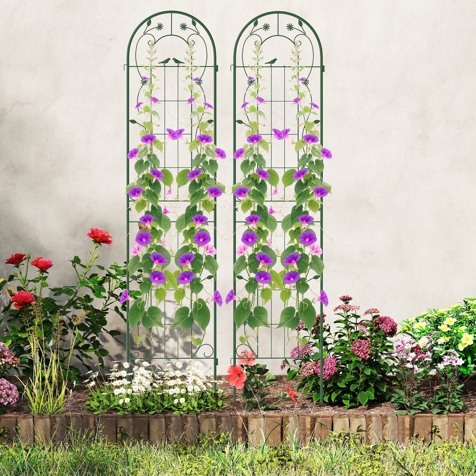 2 Pack 86.5 x 20 Inches Metal Garden Trellis for Climbing Plants - Cheeky Garden