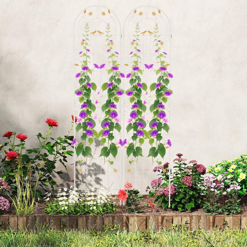 2 Pack 86.5 x 20 Inches Metal Garden Trellis for Climbing Plants - Cheeky Garden