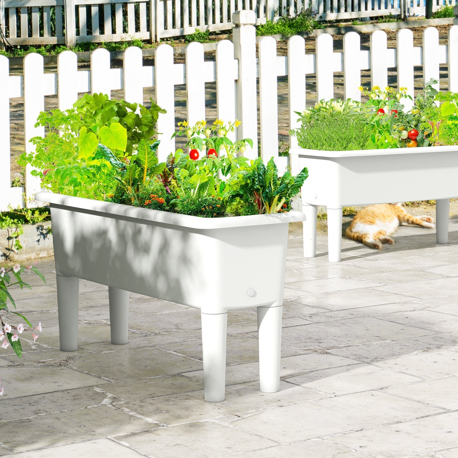 2 PCS Raised Garden Beds Self-Watering Planter Box with Detachable Legs and Drainage Hole - Cheeky Garden