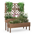 2-Tier Raised Garden Bed with Trellis-Brown - Cheeky Garden