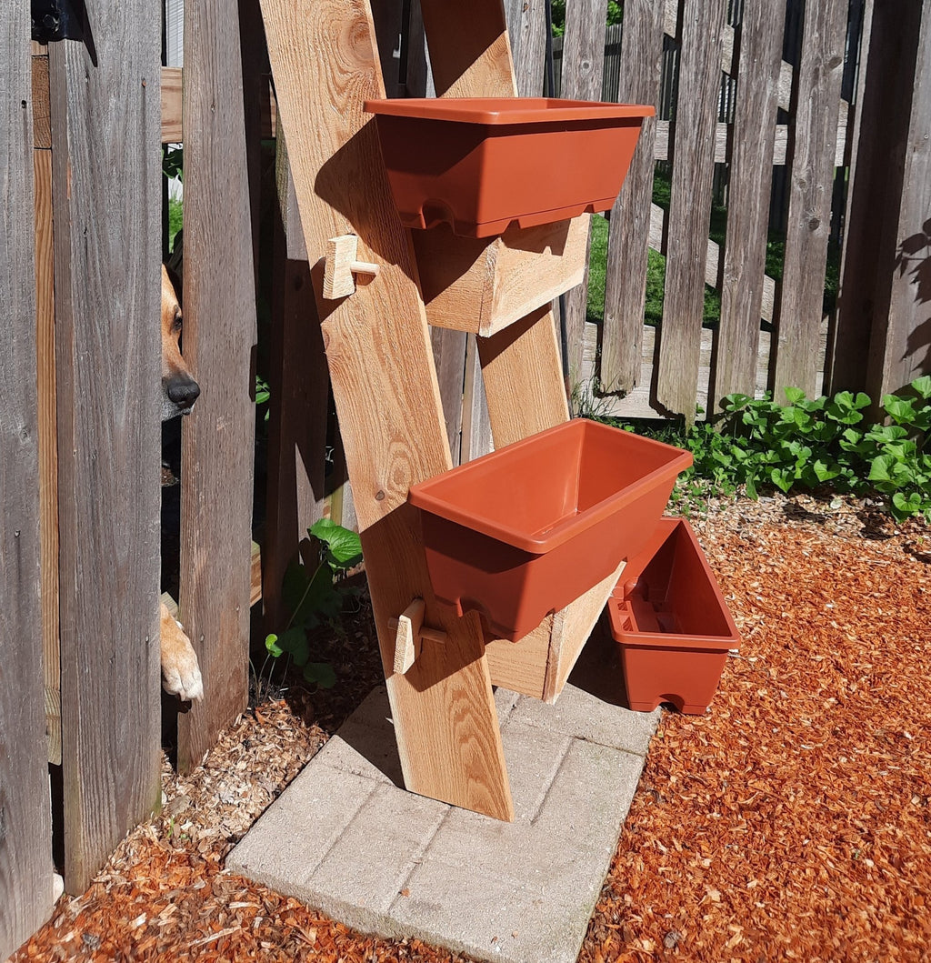 2-Tier Vertical Cedar Ladder Planter Box for Small Spaces - Cheeky Garden