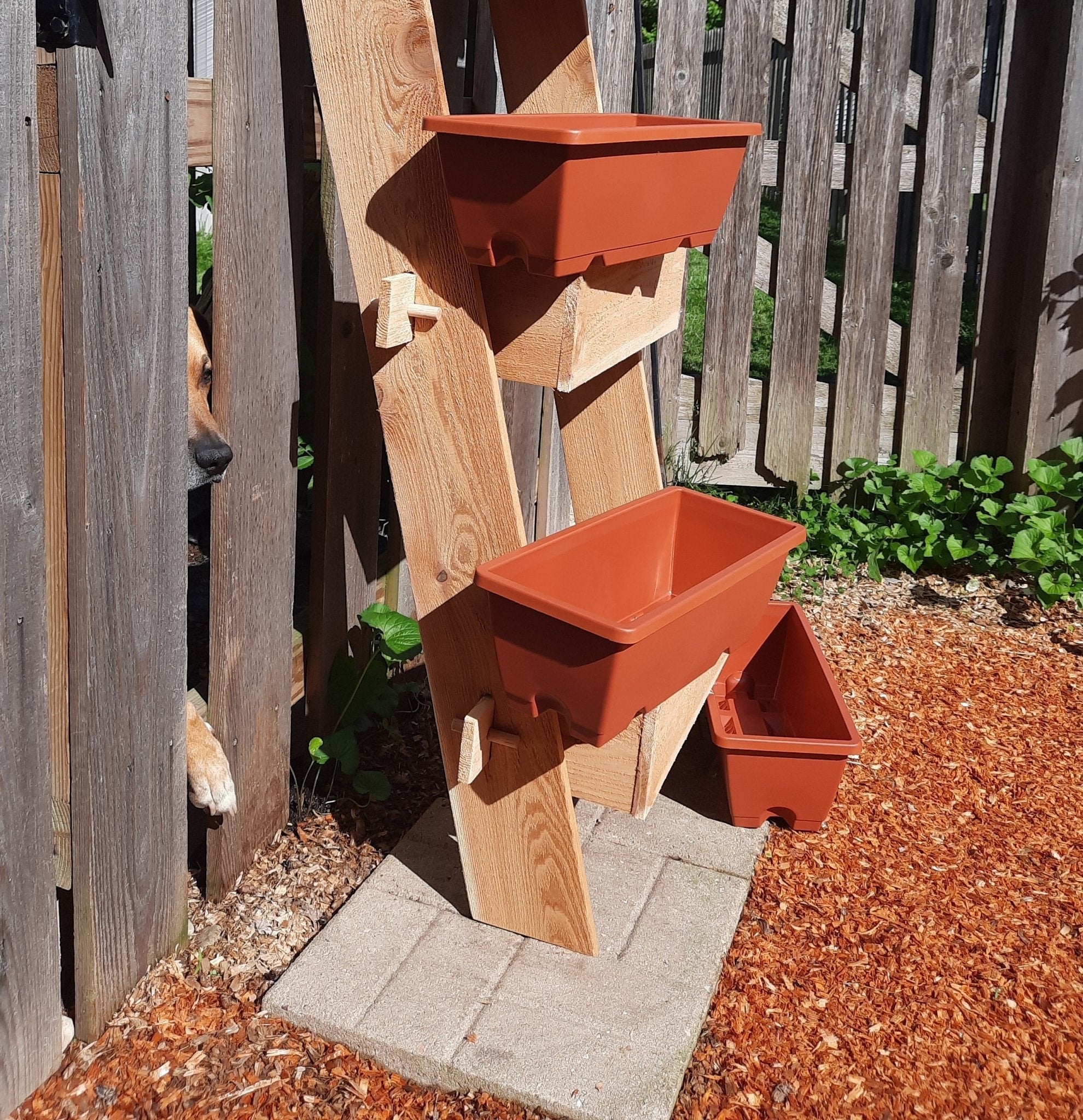 2-Tier Vertical Cedar Ladder Planter Box for Small Spaces - Cheeky Garden