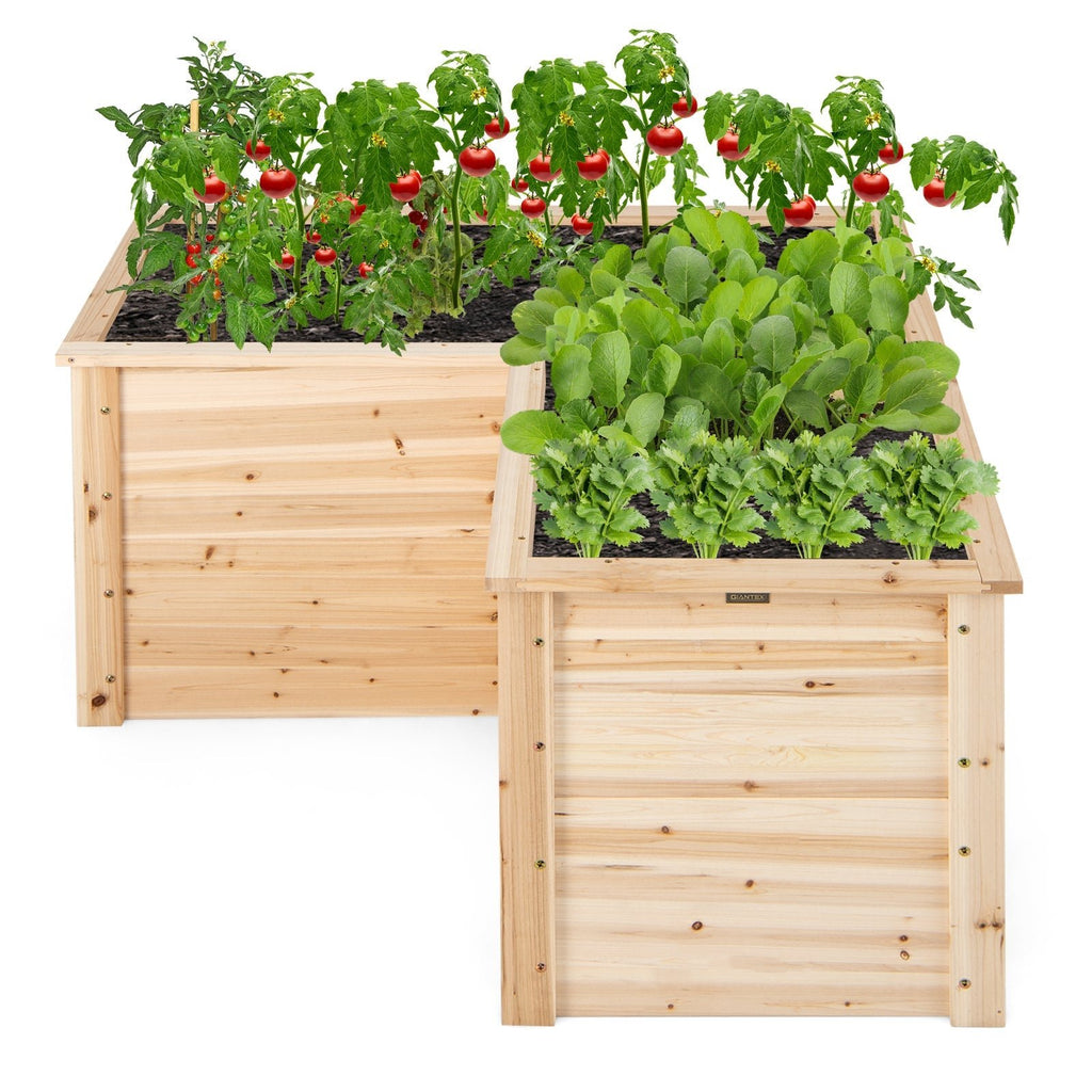 24 Inch L-Shaped Wooden Raised Garden Bed with Open-Ended Base-Natural - Cheeky Garden