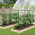 3 Pack 60 inch Adjustable Tall Plant Support Trellis for Climbing Plants - Cheeky Garden