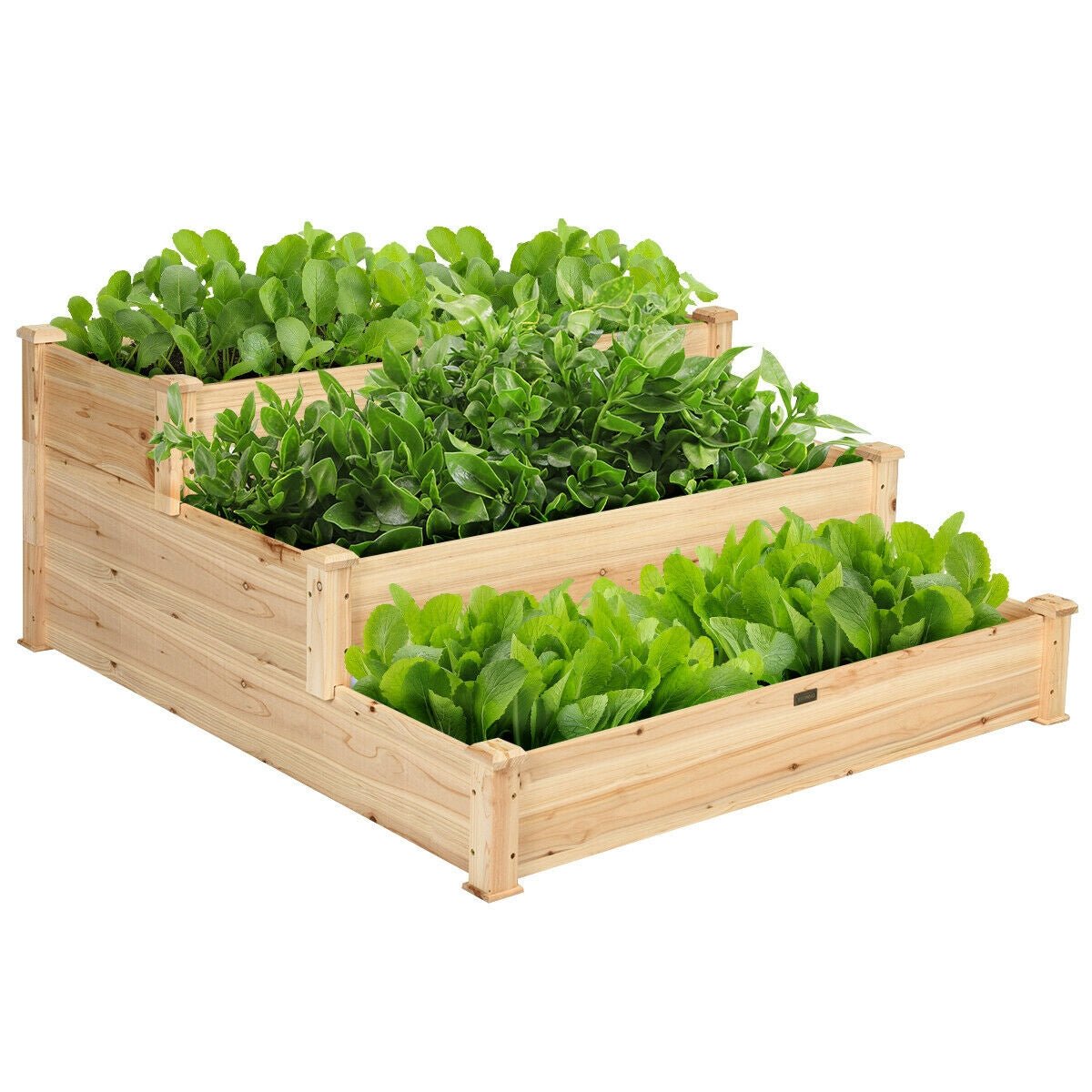 3 Tier Elevated Wooden Vegetable Garden Bed - Cheeky Garden