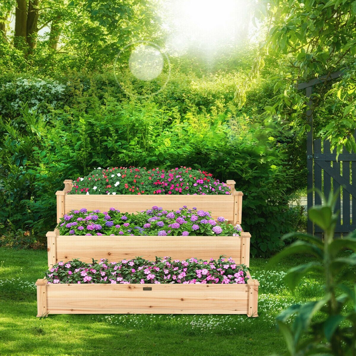 3 Tier Elevated Wooden Vegetable Garden Bed - Cheeky Garden
