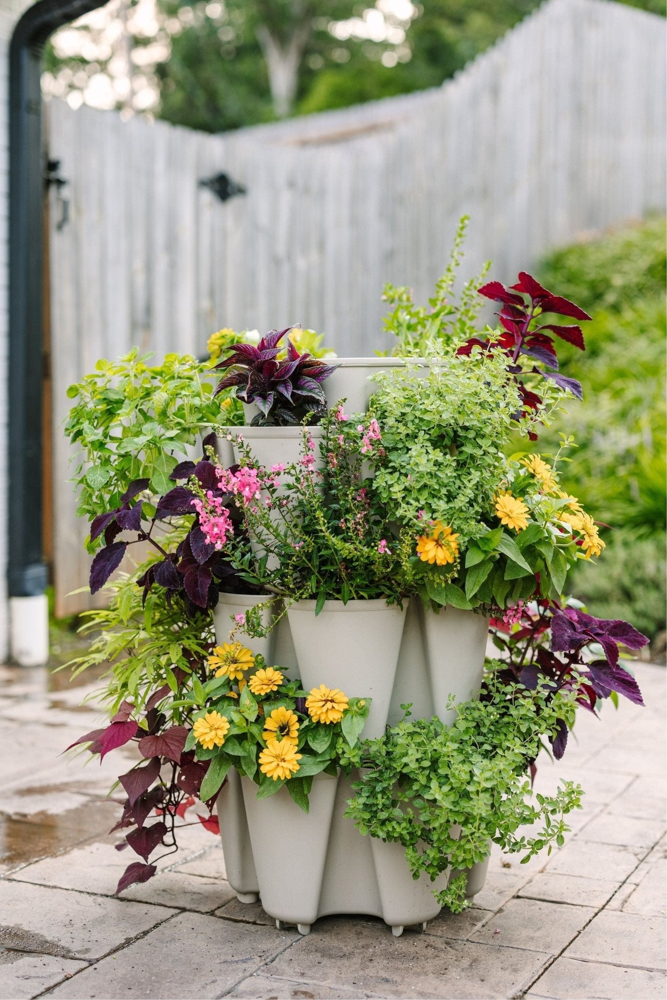 3 Tier GreenStalk Garden Original Vertical Planter - Basic Texture - Cheeky Garden