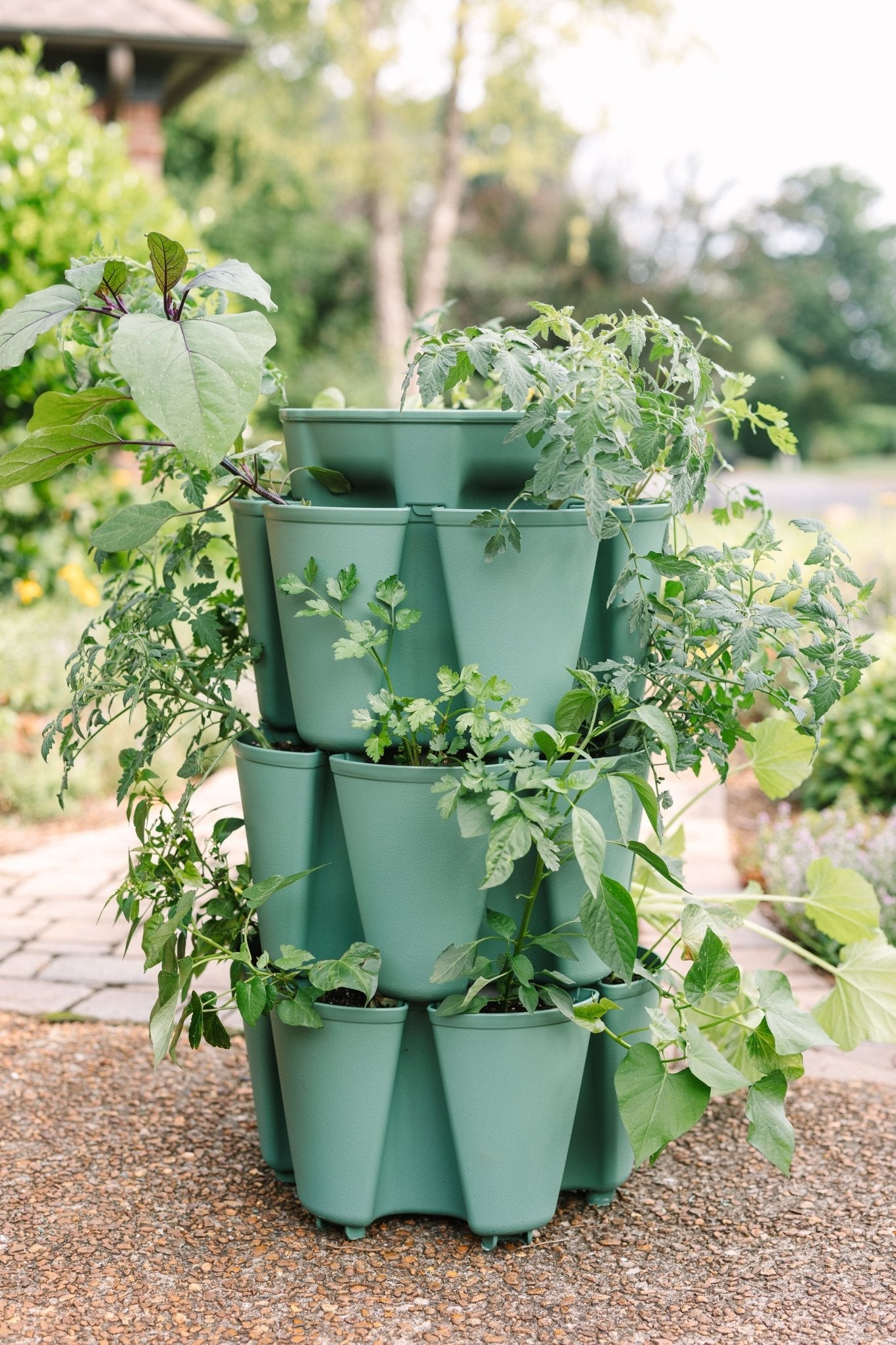3 Tier GreenStalk Garden Original Vertical Planter - Basic Texture - Cheeky Garden