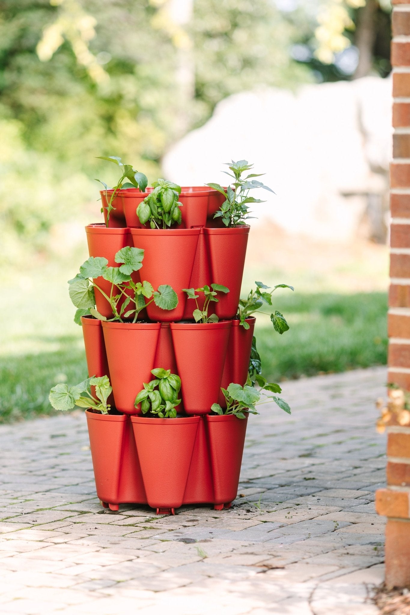 3 Tier GreenStalk Garden Original Vertical Planter - Basic Texture - Cheeky Garden