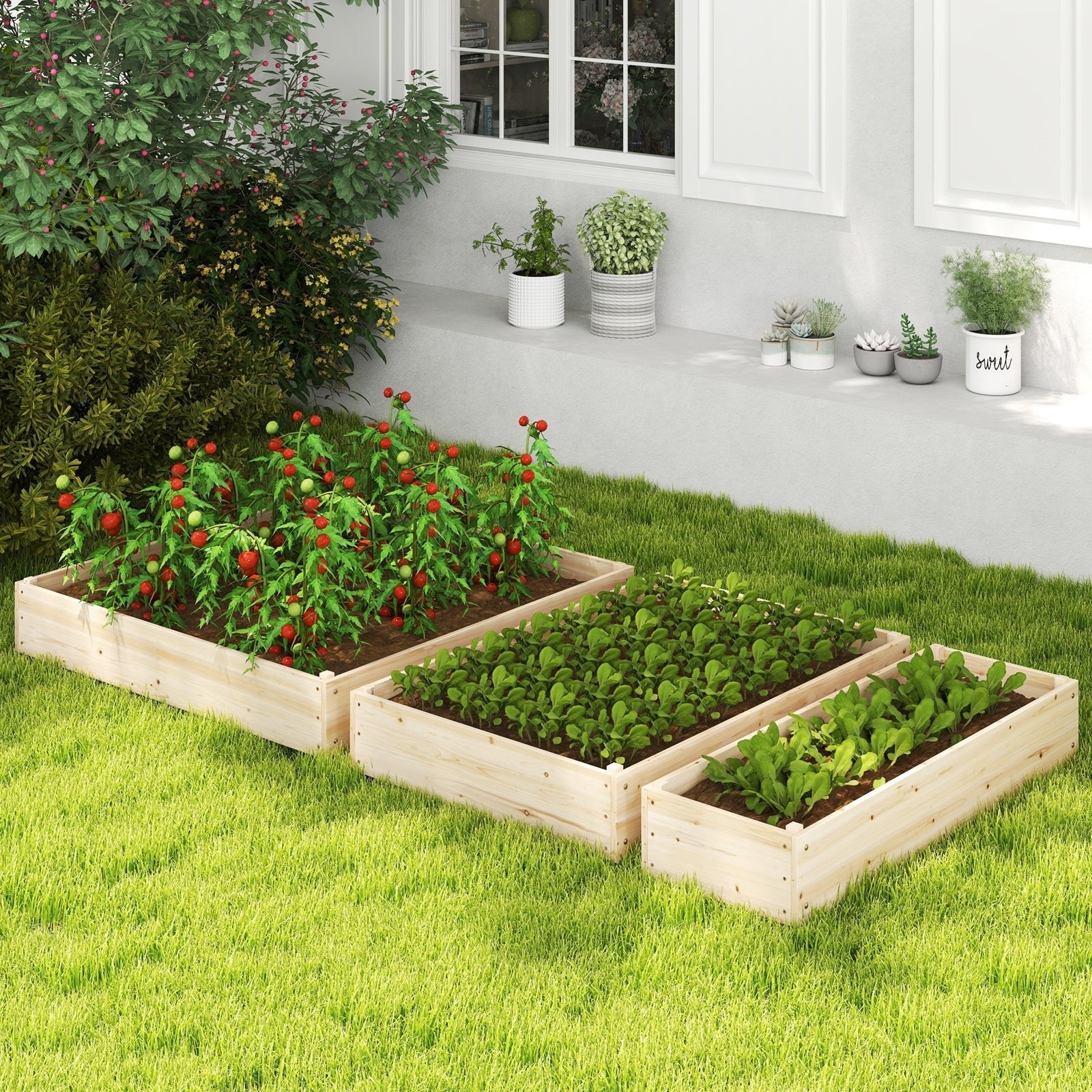 3-Tier Raised Garden Bed with Lattice Trellis and Open-Ended Base-Natural - Cheeky Garden