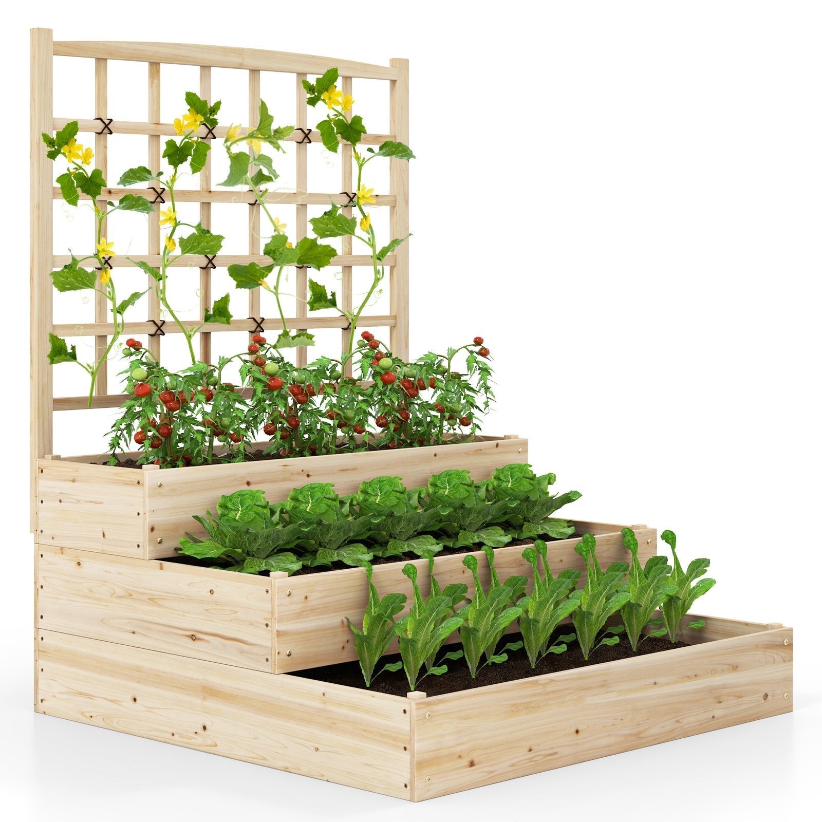 3-Tier Raised Garden Bed with Lattice Trellis and Open-Ended Base-Natural - Cheeky Garden