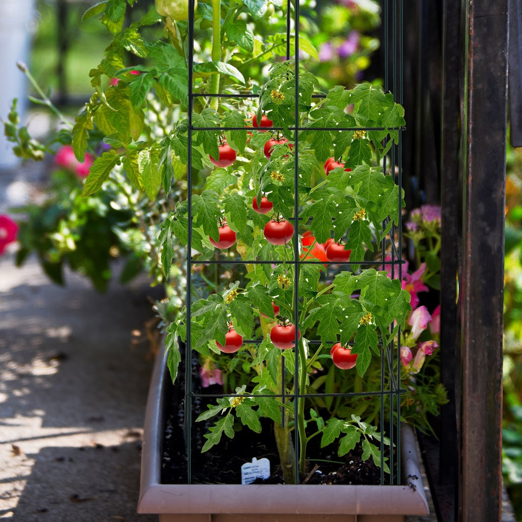 4 Pack Garden Trellis for Climbing Plants for Flower Vegetable - Cheeky Garden