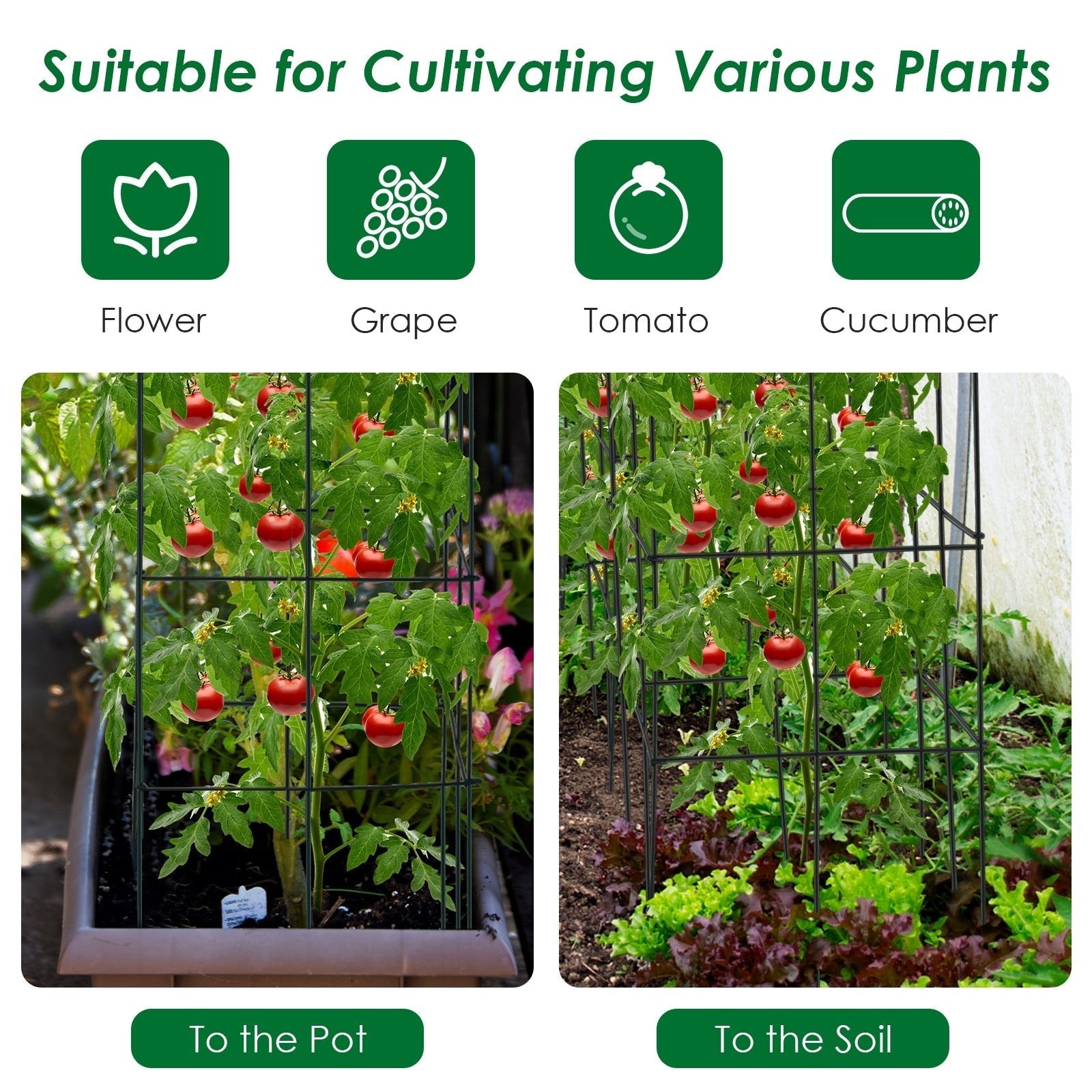 4 Pack Garden Trellis for Climbing Plants for Flower Vegetable - Cheeky Garden