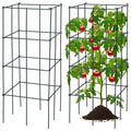 4 Pack Garden Trellis for Climbing Plants for Flower Vegetable - Cheeky Garden