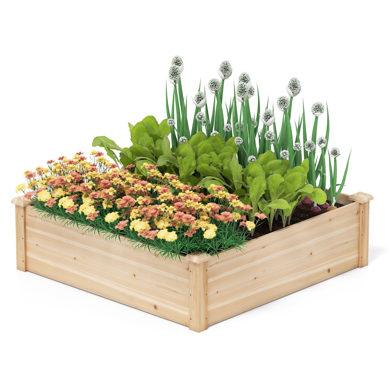 40" x 40" Outdoor Wood Raised Garden Bed-Natural - Cheeky Garden