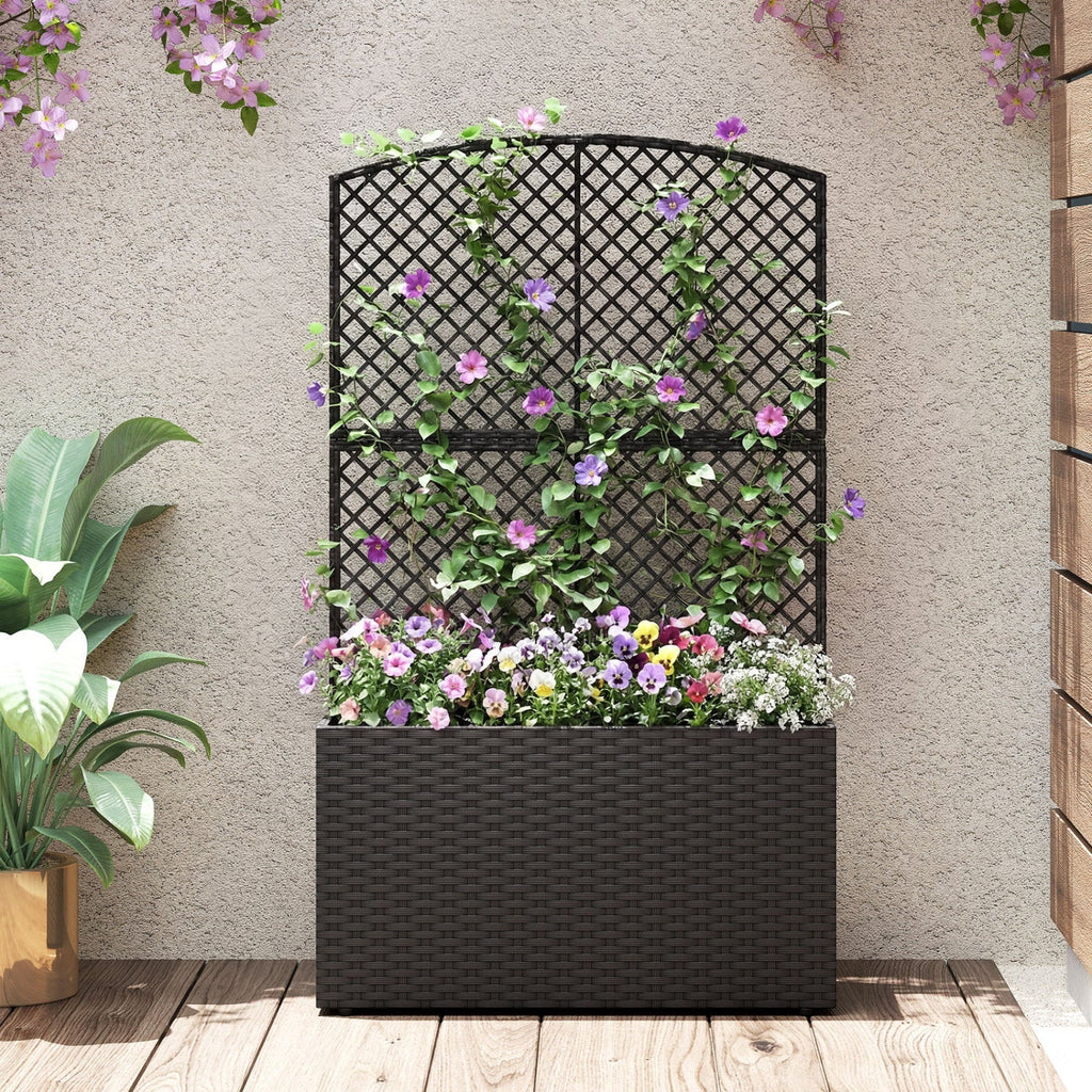 49 Inch Raised Garden Bed with Trellis and Wicker Planter Box - Cheeky Garden