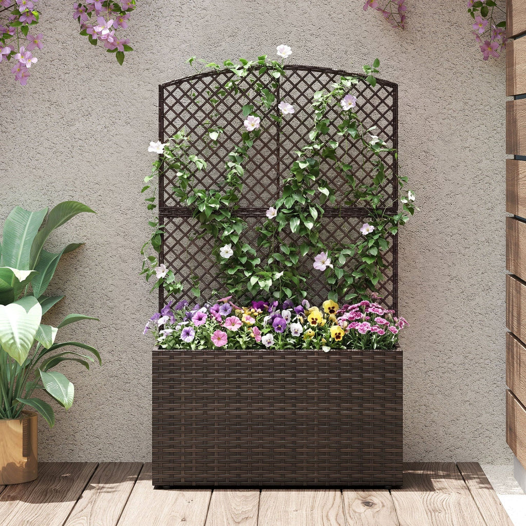 49 Inch Raised Garden Bed with Trellis and Wicker Planter Box - Cheeky Garden