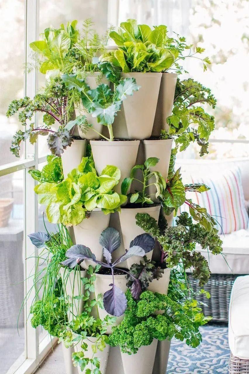5 Tier GreenStalk Garden Original Vertical Planter - Basic Texture - Cheeky Garden