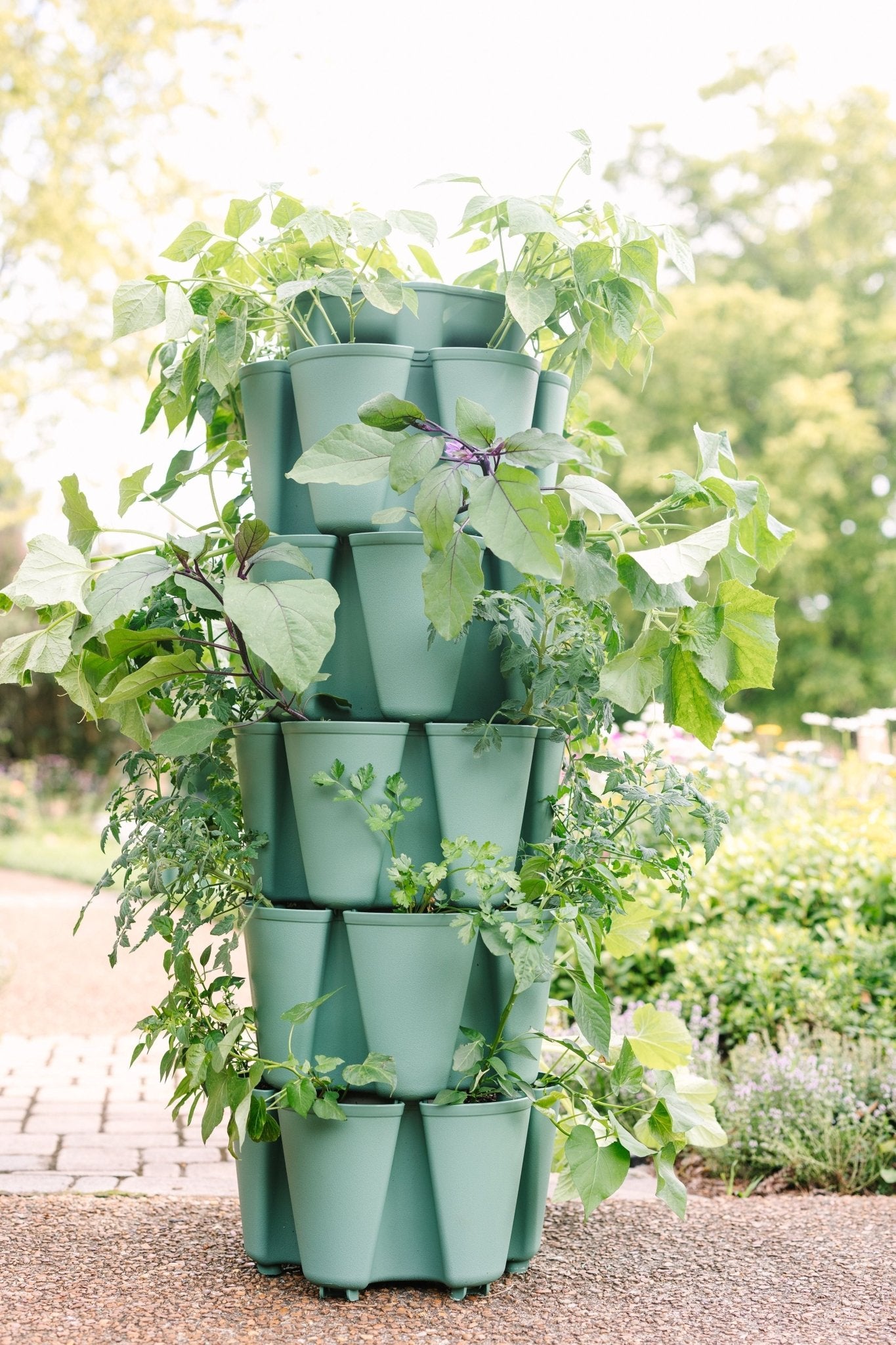 5 Tier GreenStalk Garden Original Vertical Planter - Basic Texture - Cheeky Garden