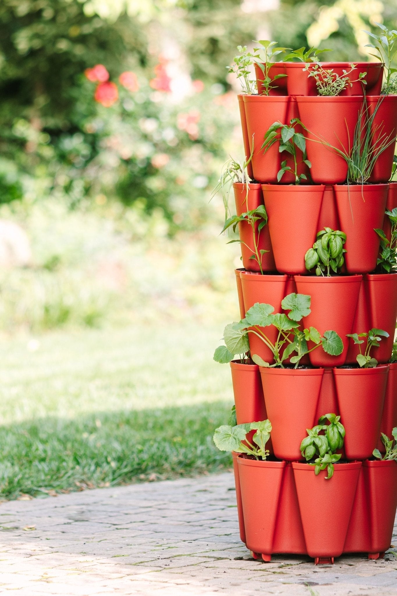 5 Tier GreenStalk Garden Original Vertical Planter - Basic Texture - Cheeky Garden