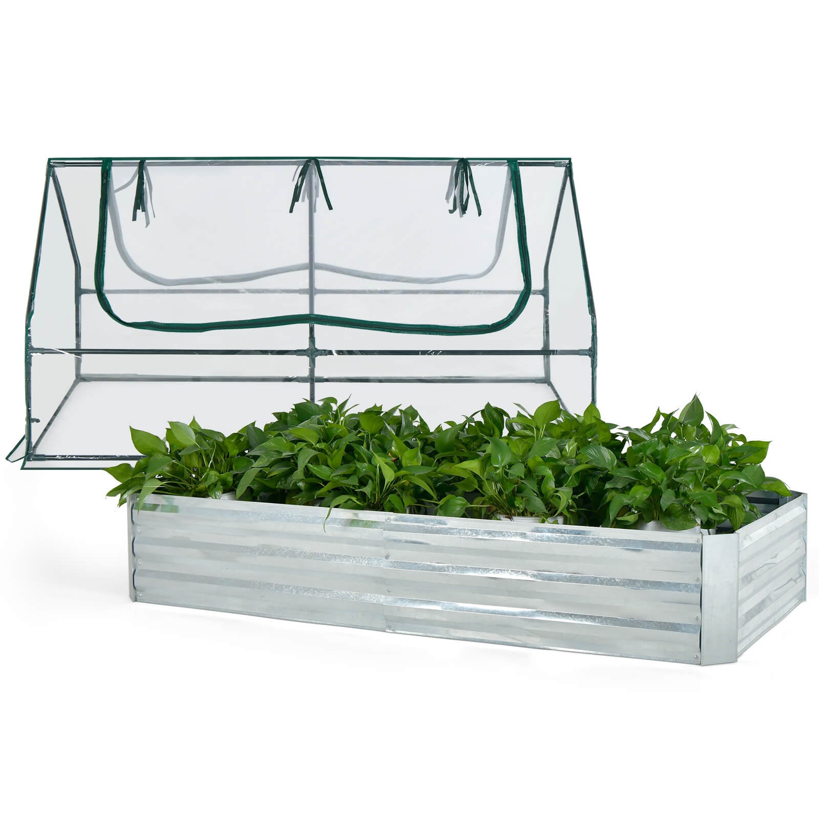 6 x 3 x 3 Feet Galvanized Raised Garden Bed with Greenhouse - Cheeky Garden