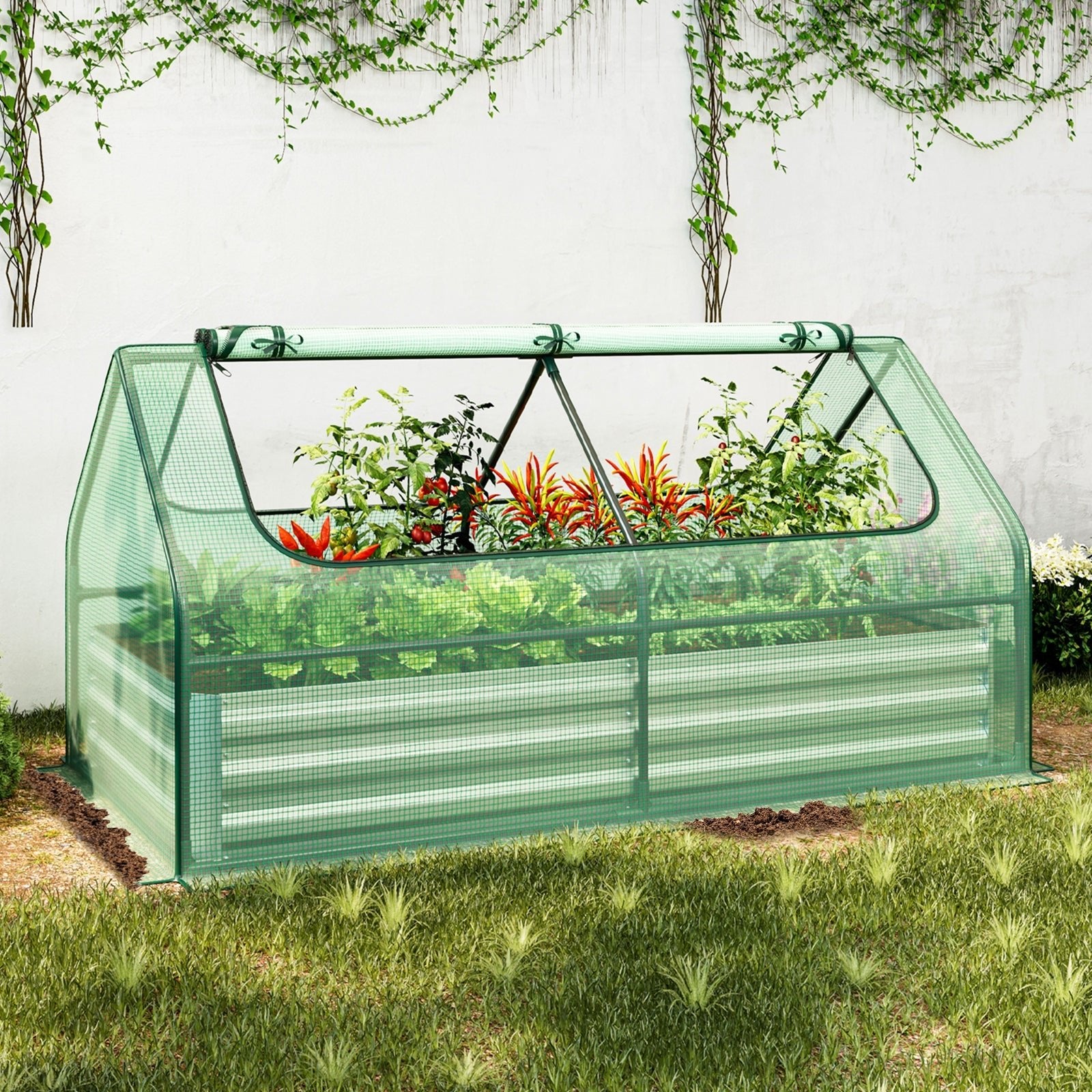 6 x 3 x 3 Feet Galvanized Raised Garden Bed with Greenhouse - Cheeky Garden
