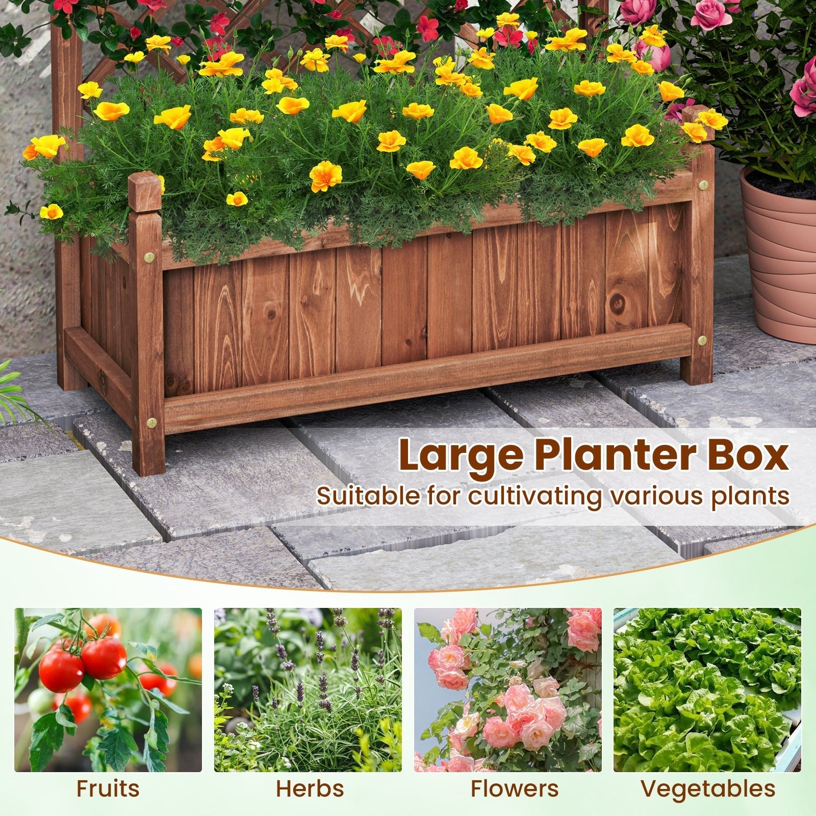 60 Inch Tall Raised Garden Bed with Diamond Lattice Trellis and Drainage Holes - Cheeky Garden