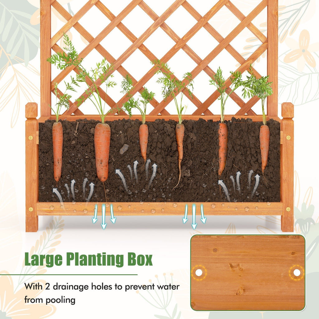 60 Inch Tall Raised Garden Bed with Diamond Lattice Trellis and Drainage Holes - Cheeky Garden