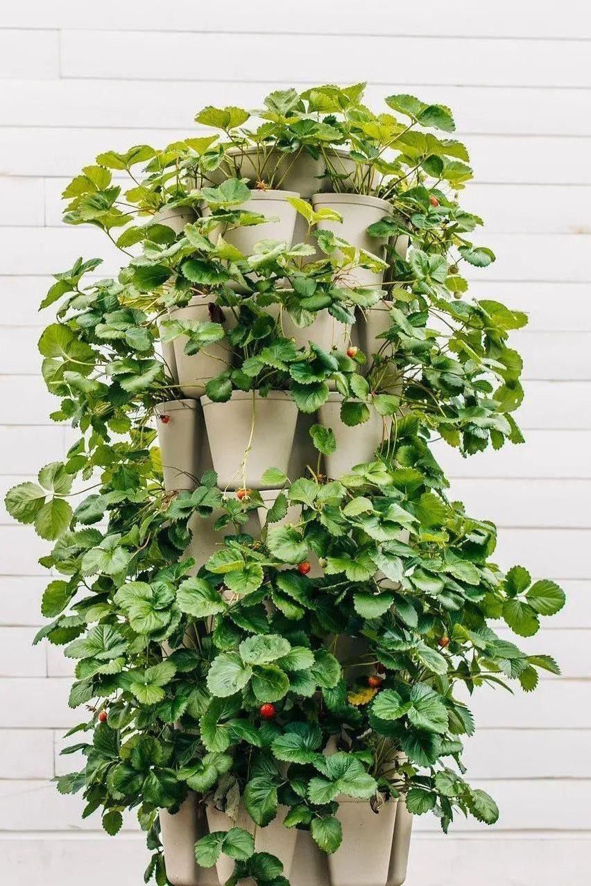 7 Tier GreenStalk Garden Leaf Vertical Planter - Basic Texture - Cheeky Garden